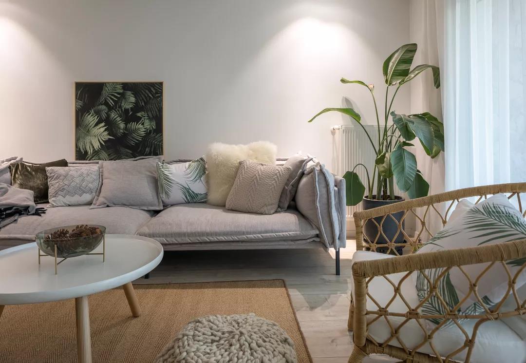 原汁原味北歐風(fēng)，芬蘭大叔在廣州書寫故鄉(xiāng)記憶