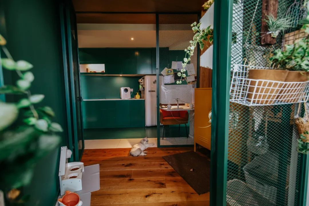 空間易容術丨60平打造民國風，全屋祖母綠帶你一鍵穿越