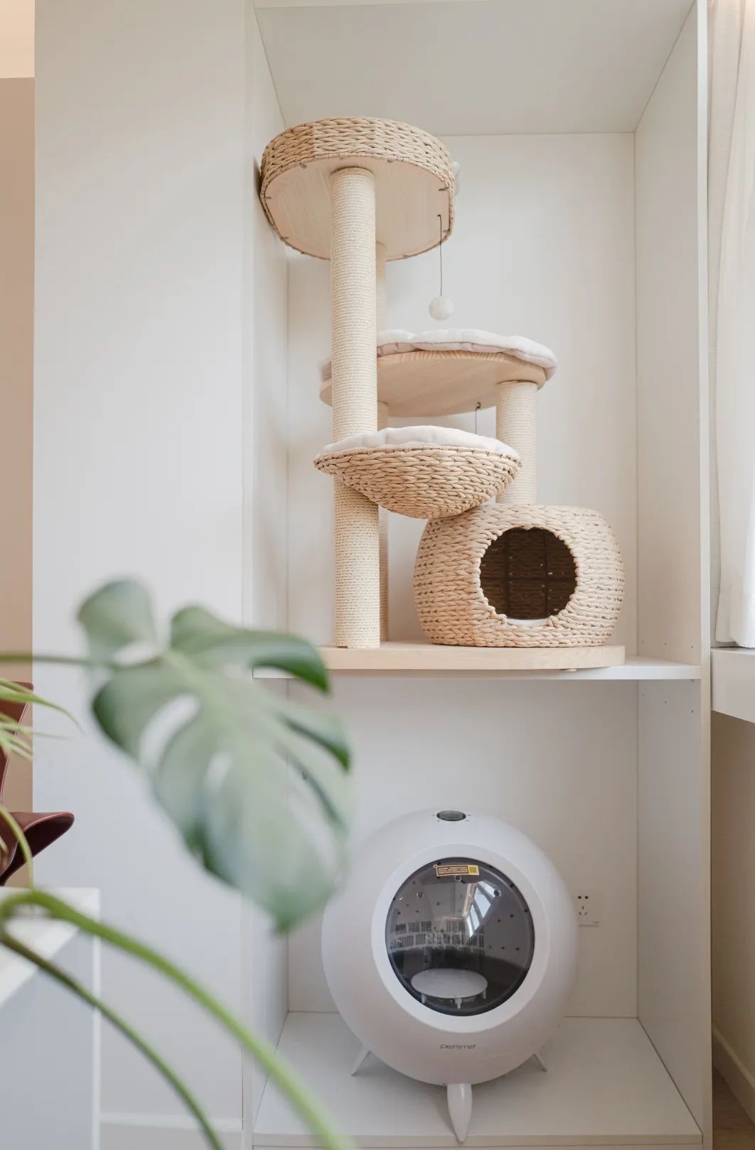 理工暖男の日式之家丨一人一喵，三餐四季，恬靜悠閑