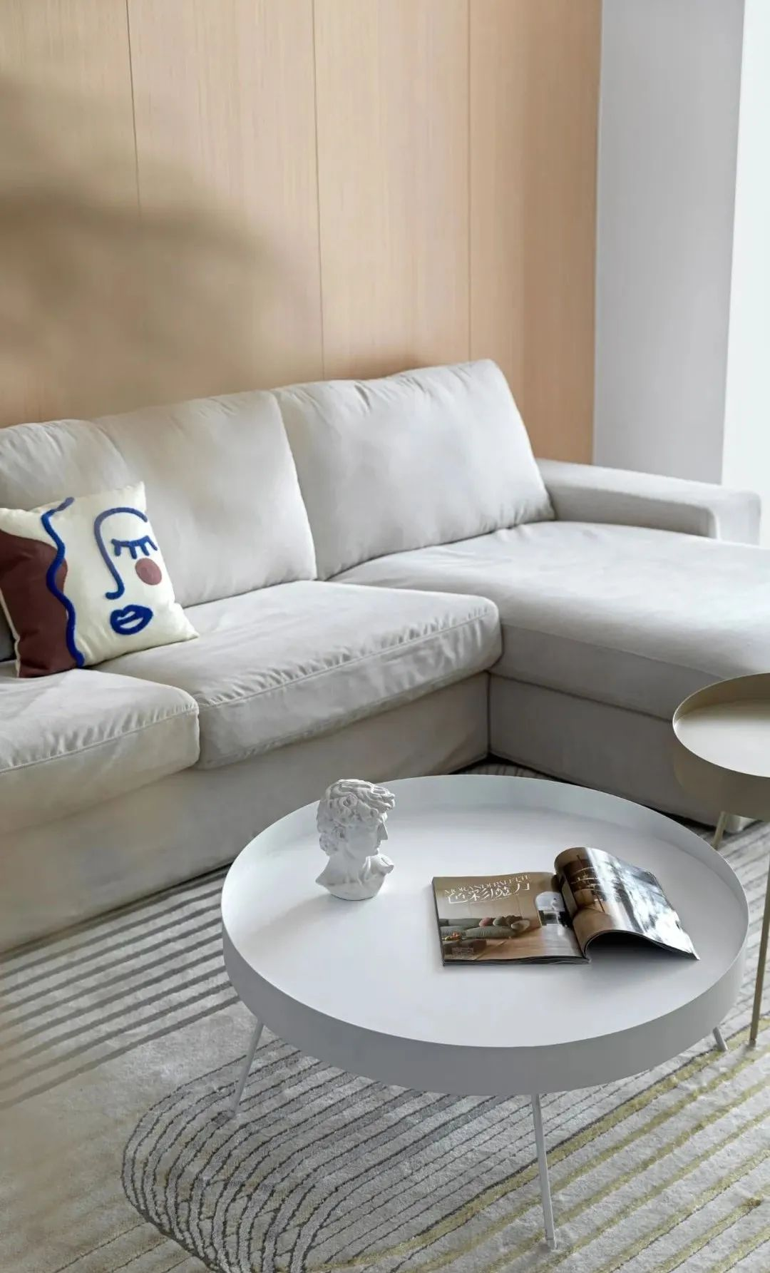 留學夫妻曝光居家日常，這套隱藏式“收納巨獸”藏不住了