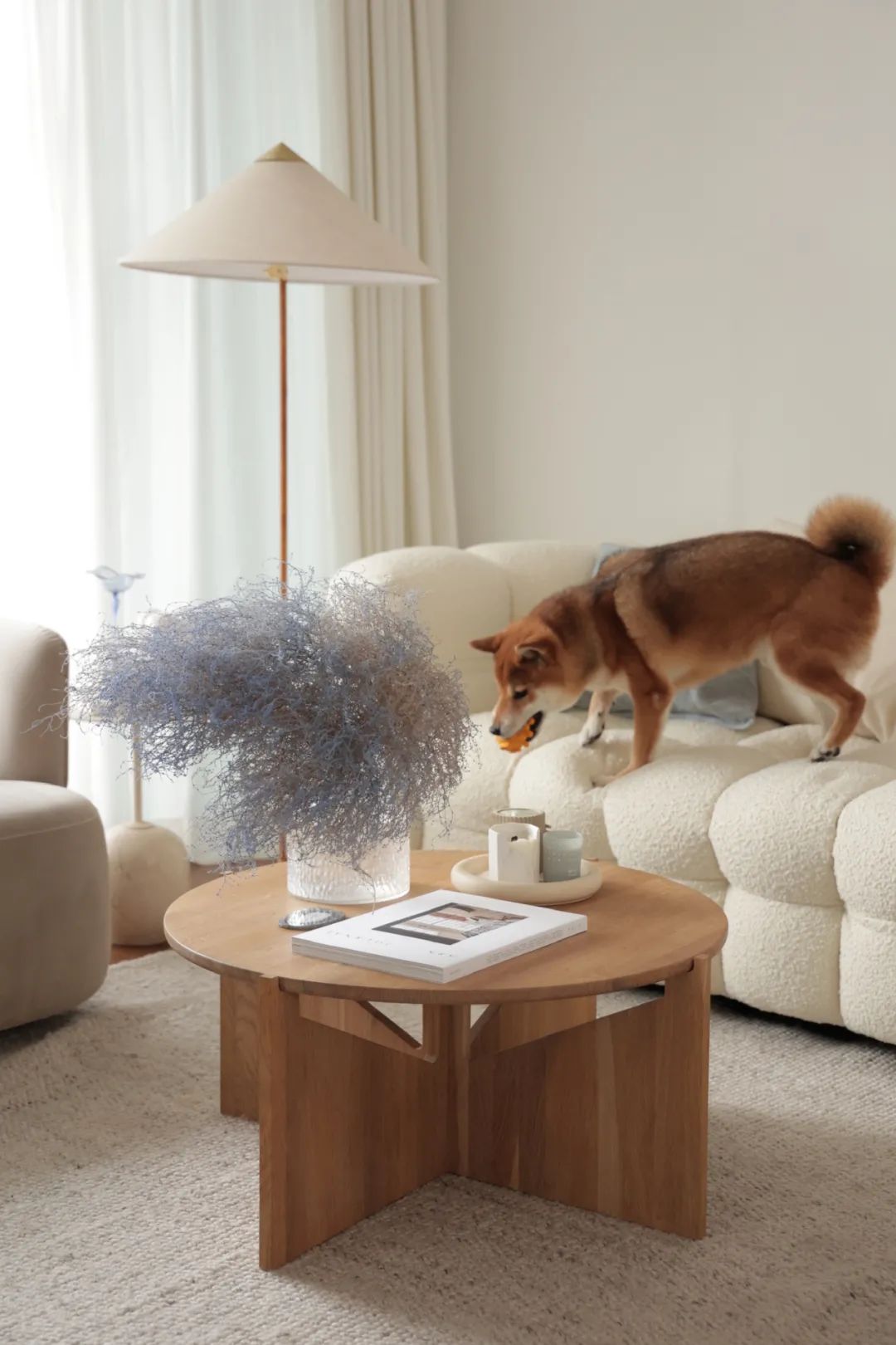 最in溫柔侘寂風來襲，足不出戶宅家也能度過完美周末	