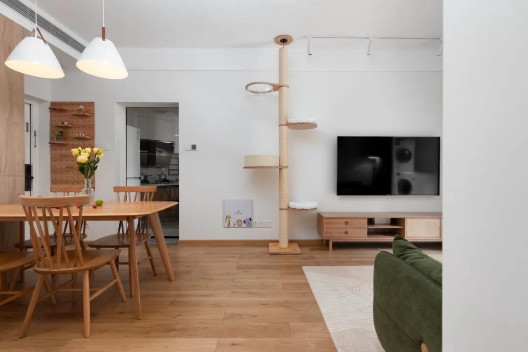 小紅書爆火：2人2喵入住異形小戶，仿佛是日劇穿越~	