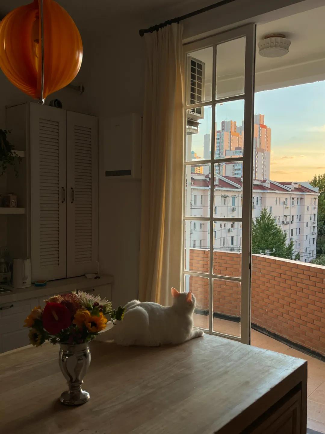 這屆情侶有多會住？格子門窗日光浴，隨性又自由	