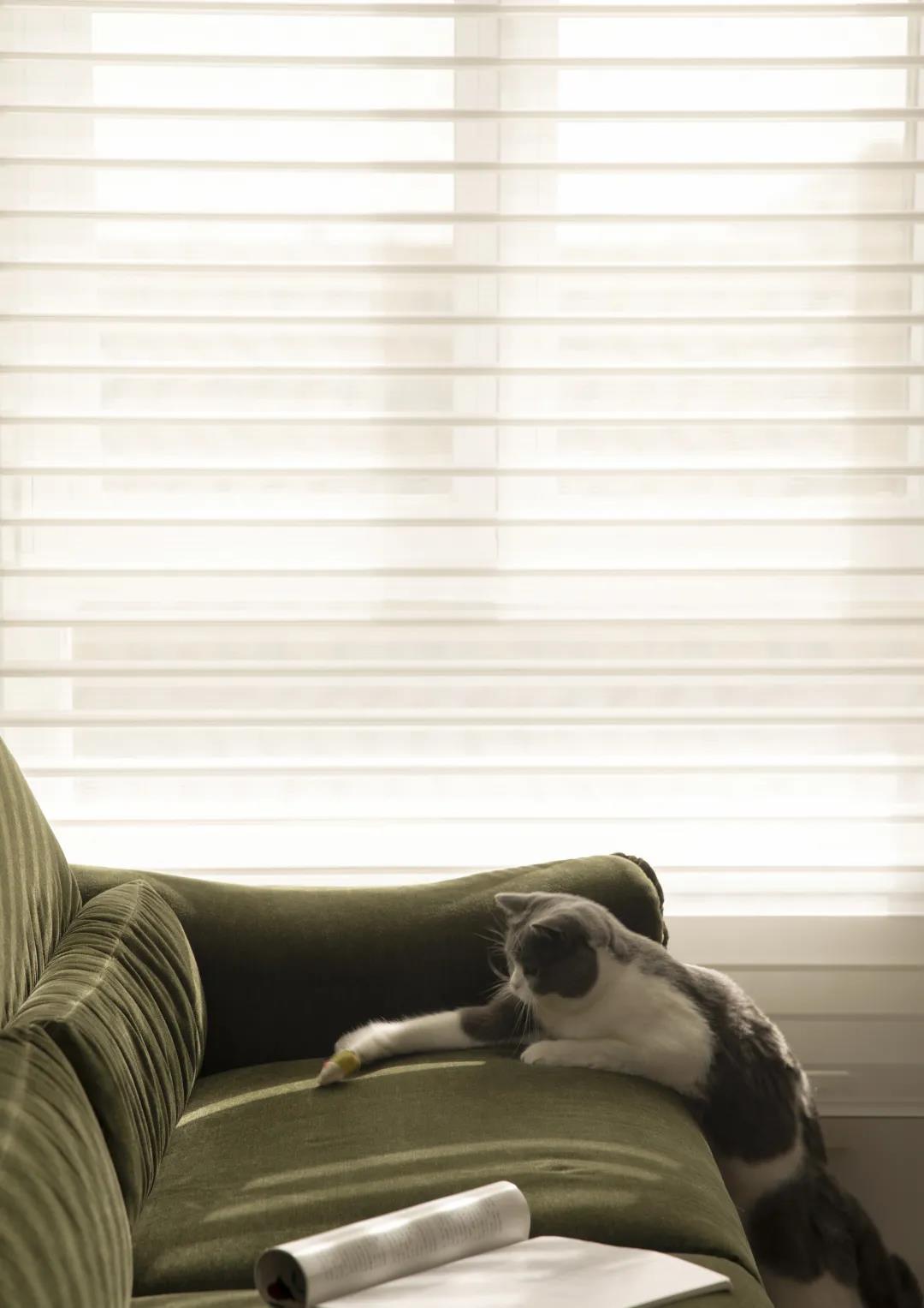 格調風雅の養生居所，老教授實力開啟『向往的生活』