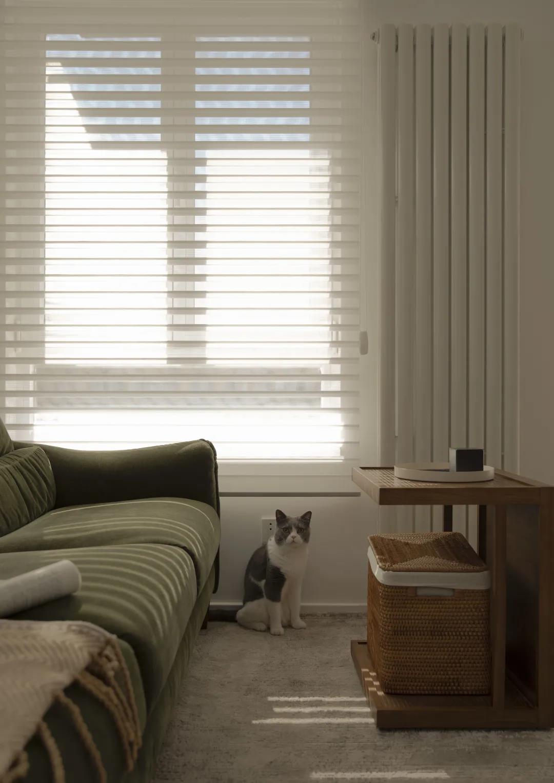 格調風雅の養生居所，老教授實力開啟『向往的生活』