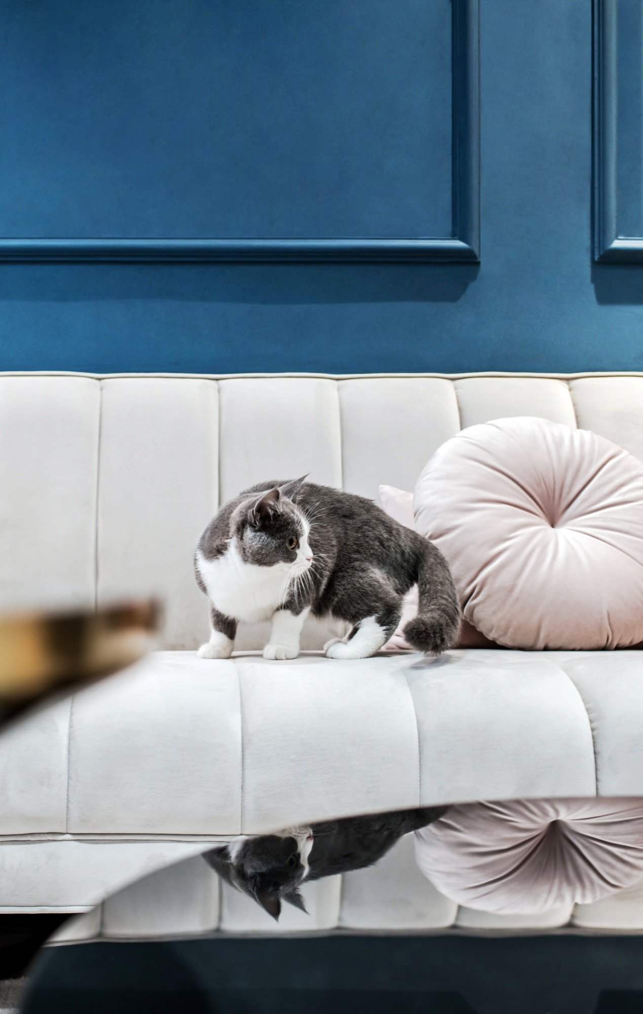 她家110㎡又藍又粉の野獸派設計，真是人間寶藏宅	