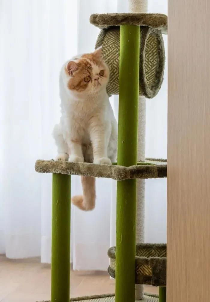 京郊106㎡MUJI風『婚房教科書』，日劇里的治愈宅