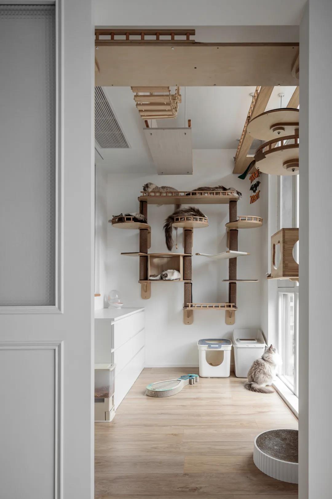 海歸小夫妻爆改126㎡，兩人六喵“高調”入住！