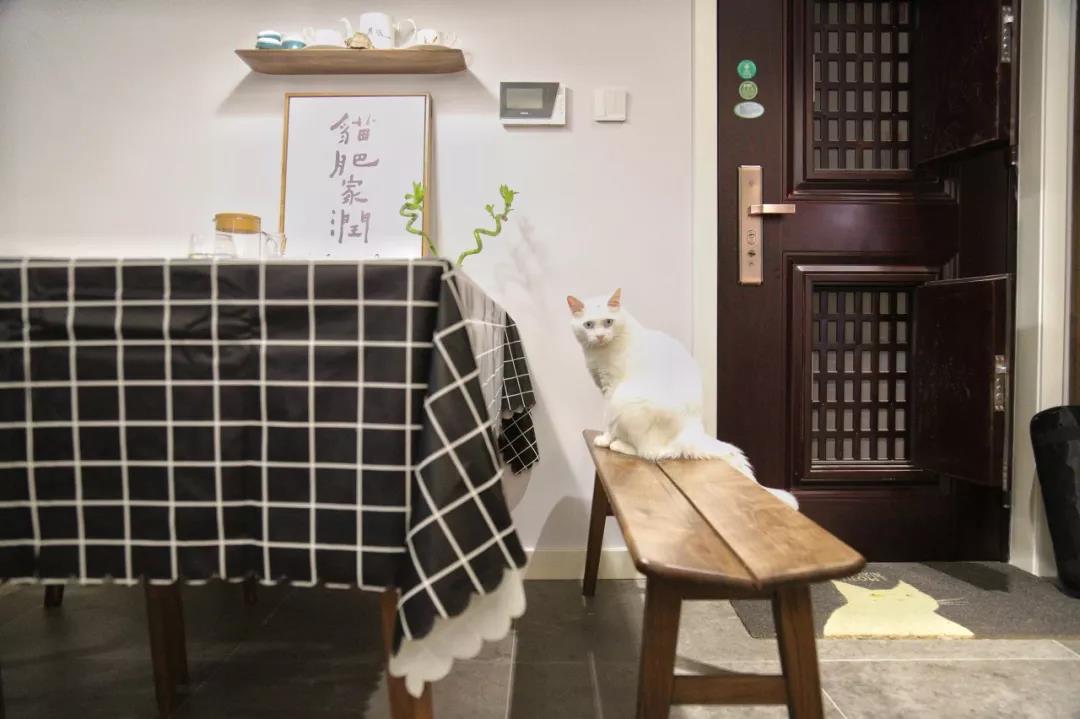 90后夫妻買下92㎡：兩人一貓半院子，“偷”得浮生半日閑！